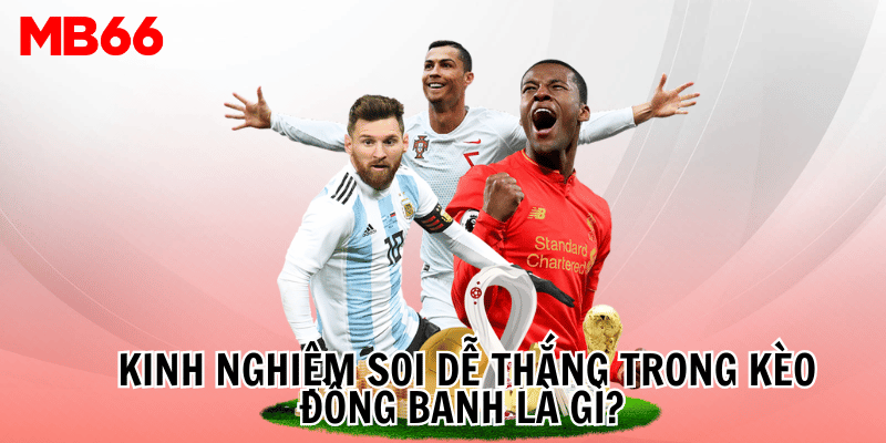  Kinh nghiệm soi dễ thắng trong kèo đồng banh là gì?